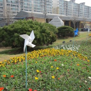 사진크게 보기