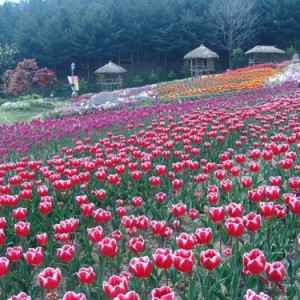 사진크게 보기