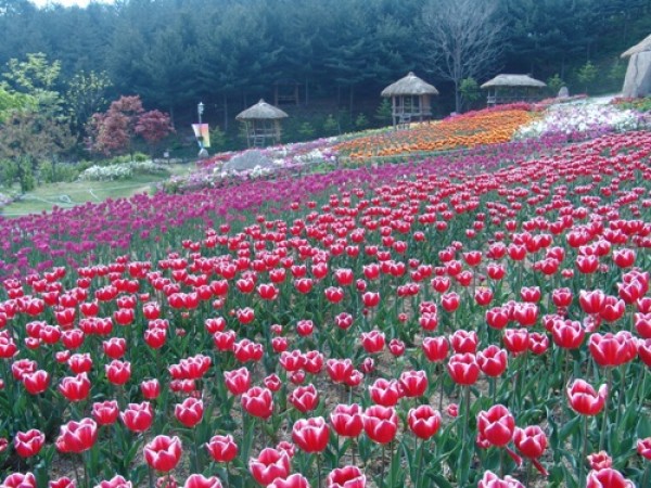 사진크게 보기