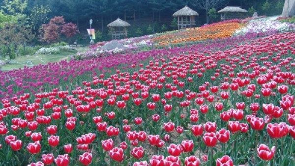 사진크게 보기
