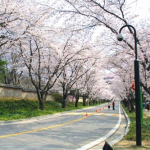 사진크게 보기