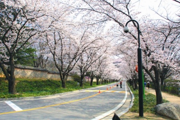 사진크게 보기