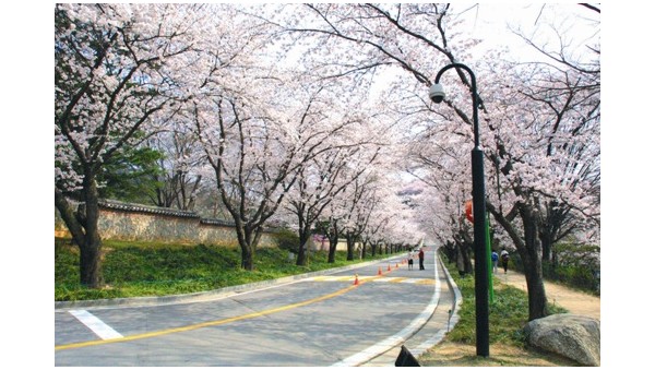 사진크게 보기
