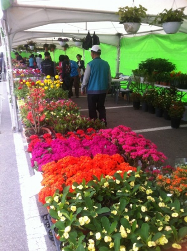 사진크게 보기