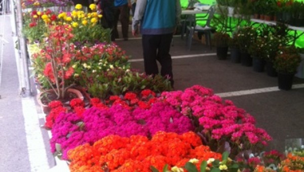 사진크게 보기