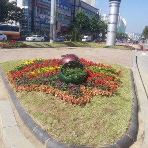 사진크게 보기