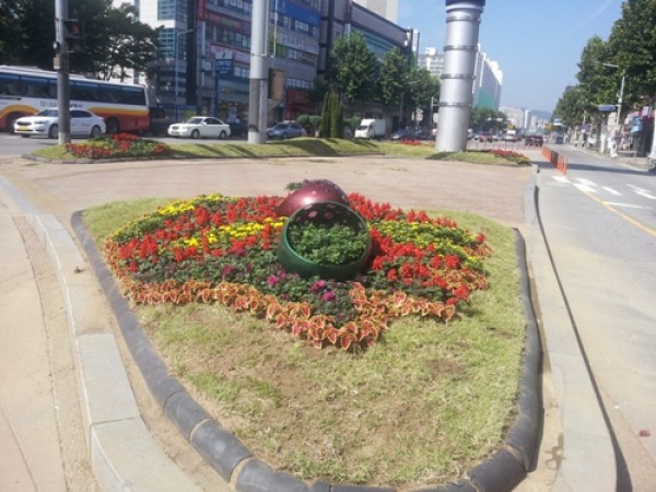 사진크게 보기