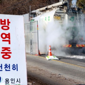 사진크게 보기