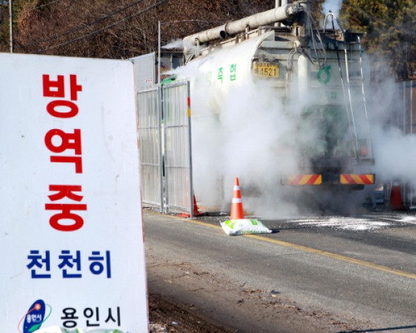 사진크게 보기