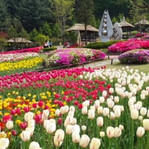 사진크게 보기