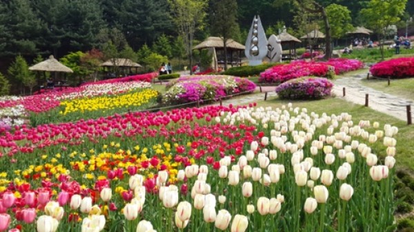 사진크게 보기