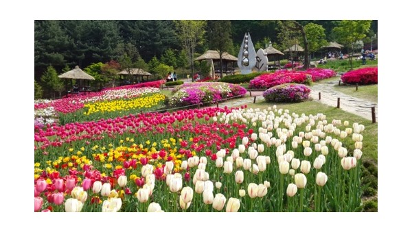 사진크게 보기