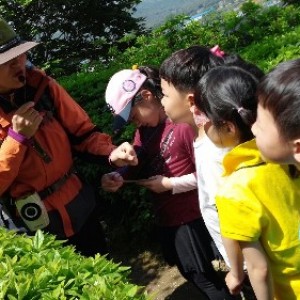 사진크게 보기