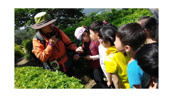 사진크게 보기