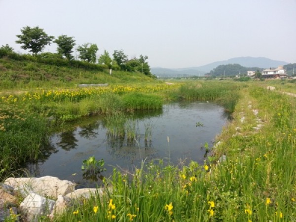 사진크게 보기