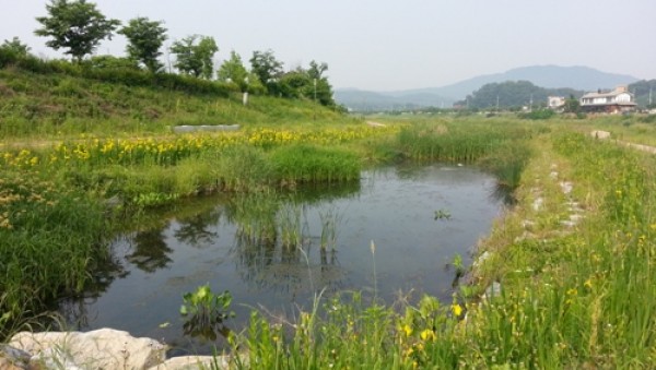 사진크게 보기