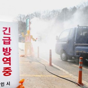 사진크게 보기