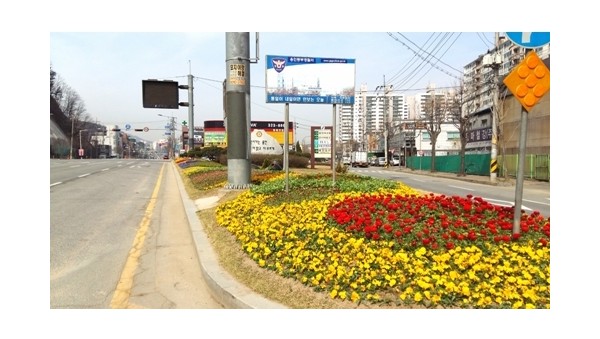 사진크게 보기