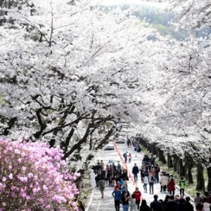 사진크게 보기