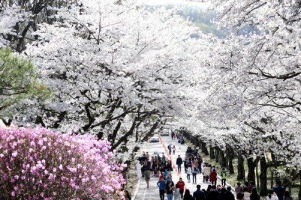 사진크게 보기