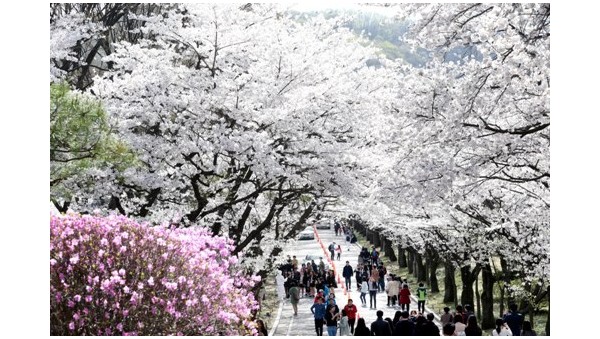 사진크게 보기