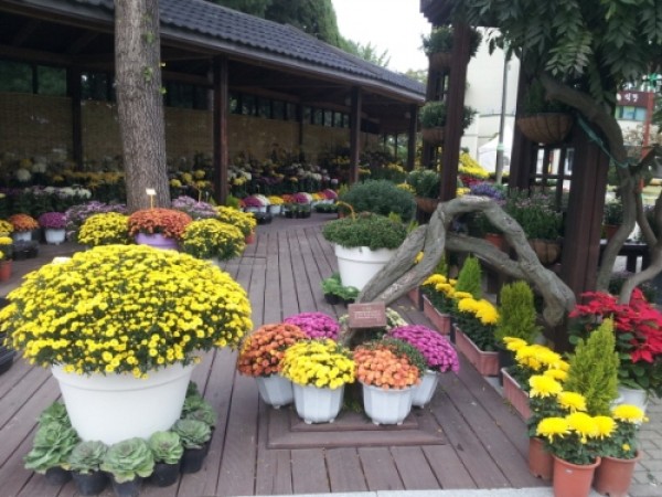 사진크게 보기