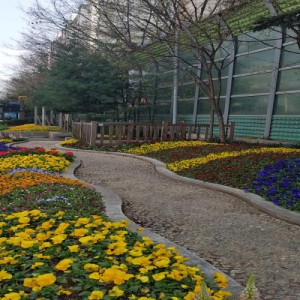 사진크게 보기