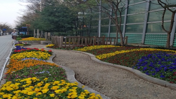 사진크게 보기