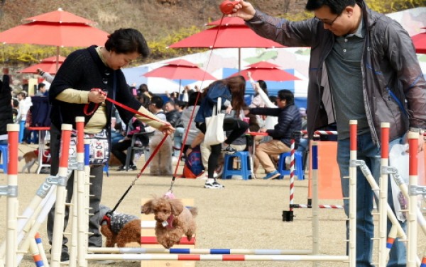 사진크게 보기