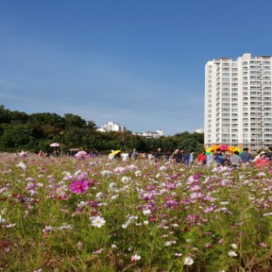 사진크게 보기