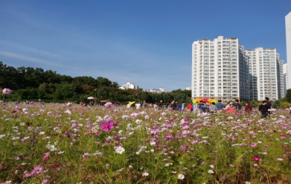 사진크게 보기