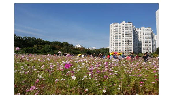 사진크게 보기