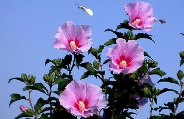 사진크게 보기