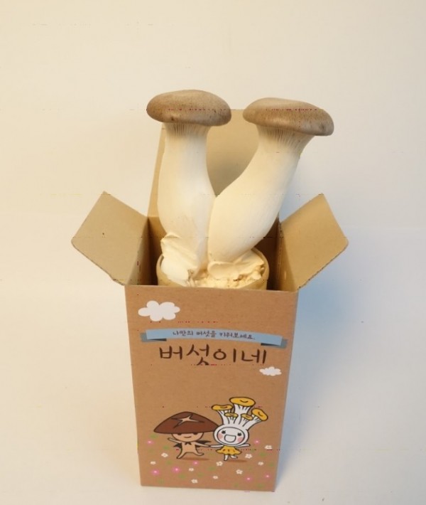 버섯재배세트.jpg