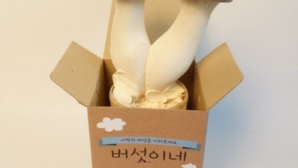 버섯재배세트.jpg