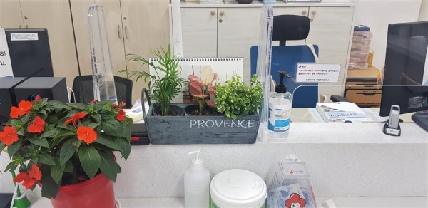 (사진) 풍덕천1동 행정복지센터 민원실에 비치한 화분.jpeg