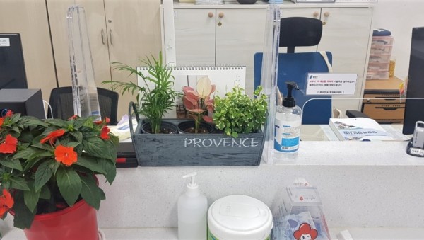 (사진) 풍덕천1동 행정복지센터 민원실에 비치한 화분.jpeg