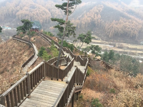 석포숲 공원.JPG