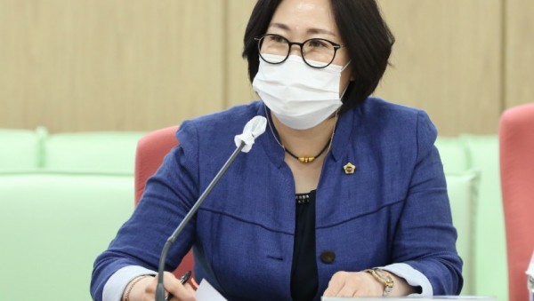 200907 서현옥 의원, 평택항 매립지 귀속결정 촉구 건의안 상임위 통과.jpg