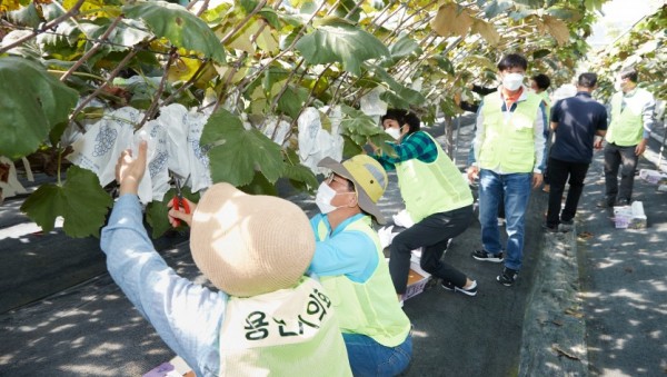 20200924 용인시의회, 농촌일손돕기 및 농정간담회 실시(1).jpg