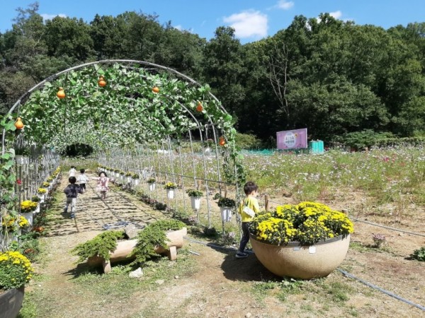 (사진) 상갈동 마을정원 조성.JPG