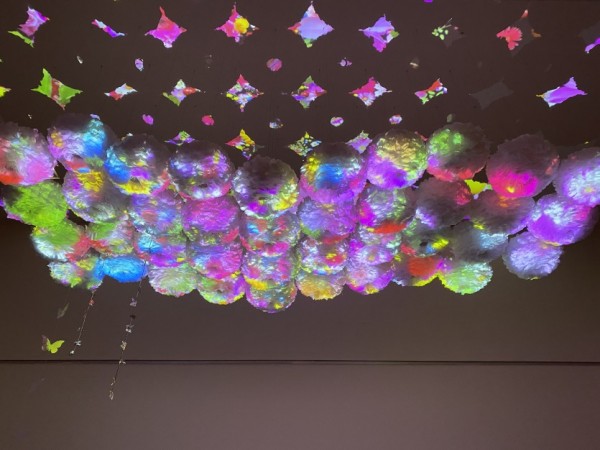 1. 김창겸 배수영 합작(콜라보 작품)_디지털 가든(Digital Garden).jpg
