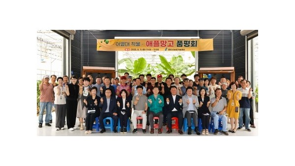 [크기변환]9-1. 용인특례시는 11일 농업기술센터 내 아열대작물 과학영농시설에서 애플망고 품평회를 열었다.jpg